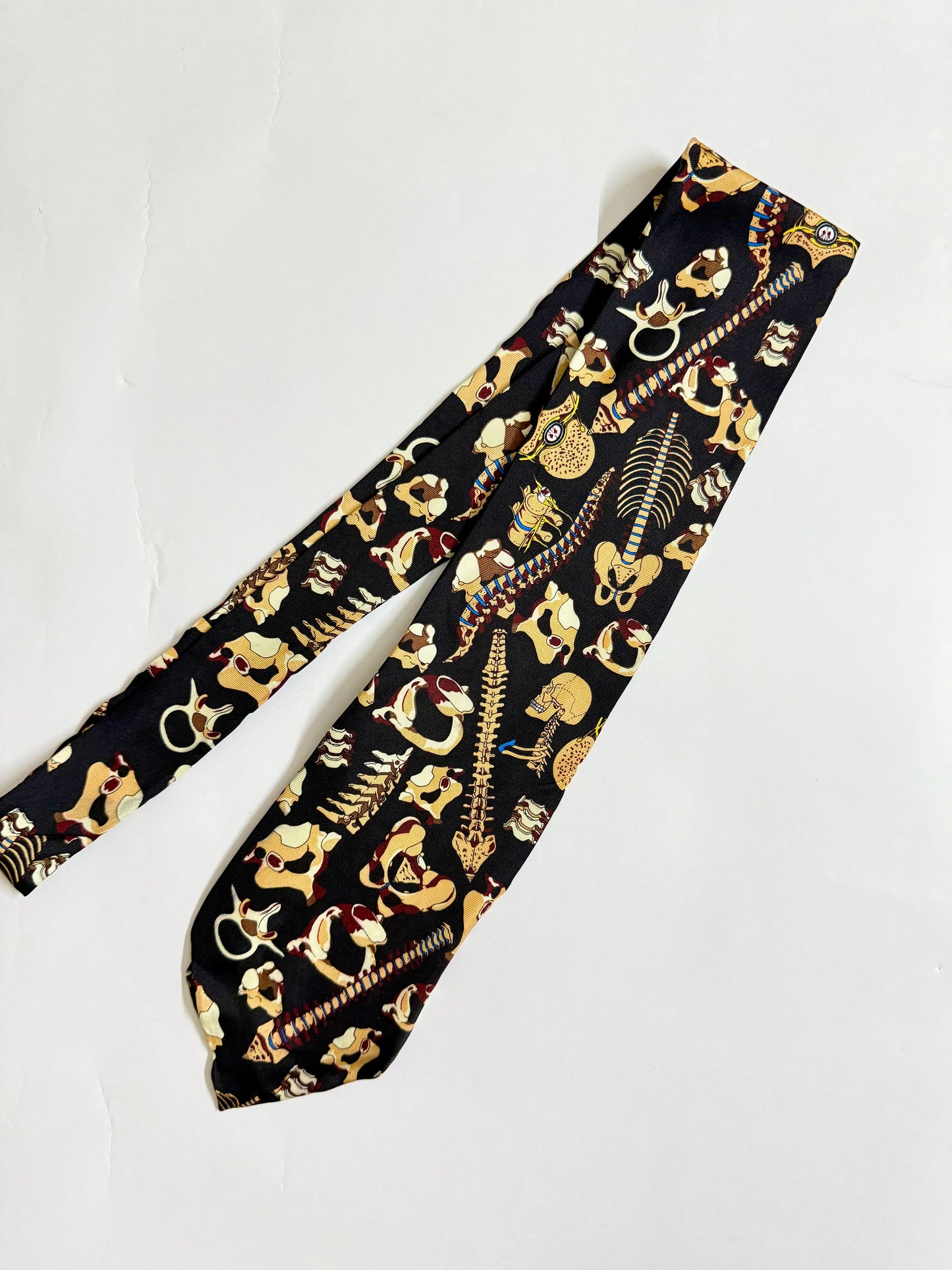 Anatomical chart co. Vintage Silk Tie