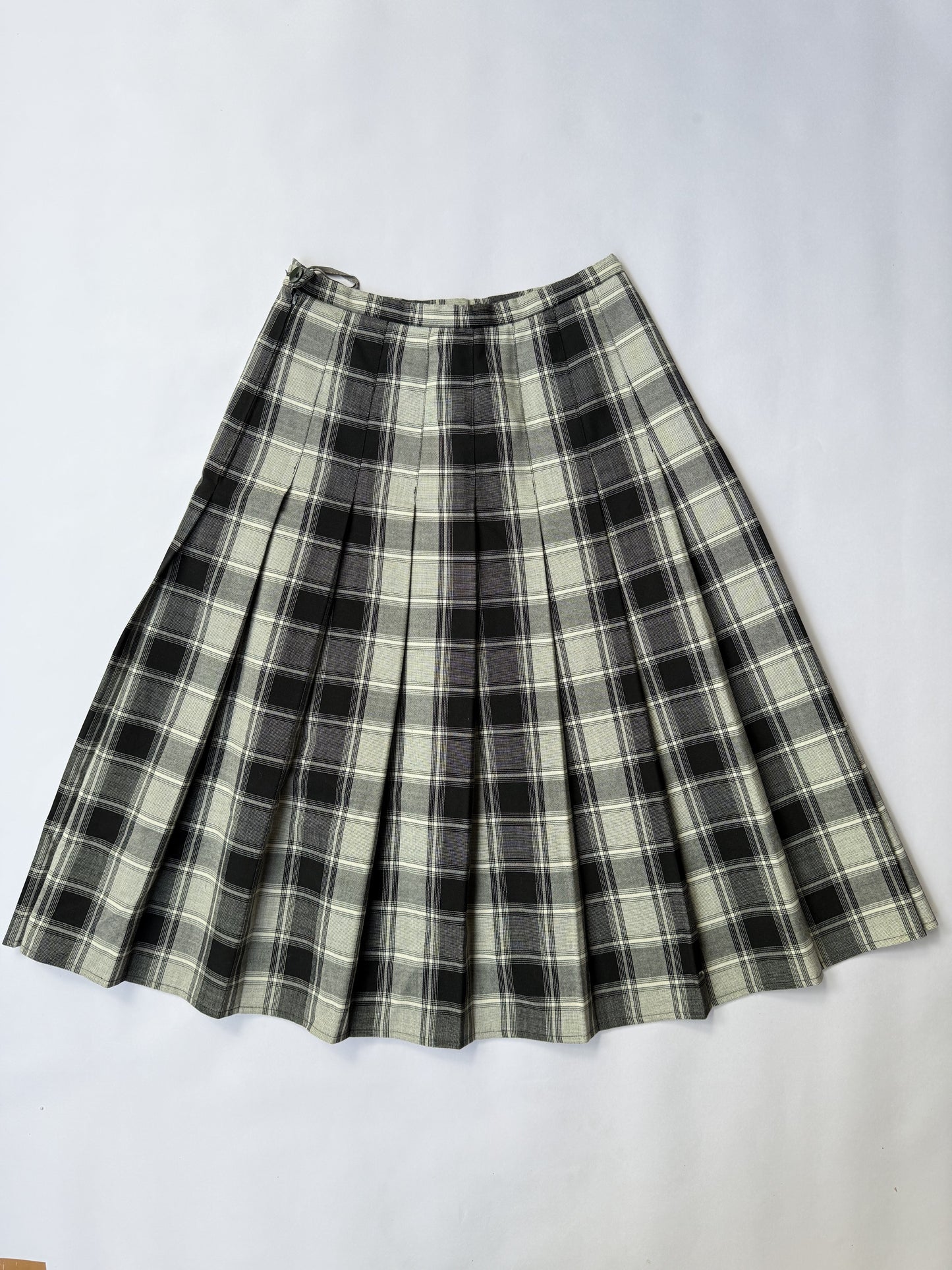 Box Plated  A'line Skirt