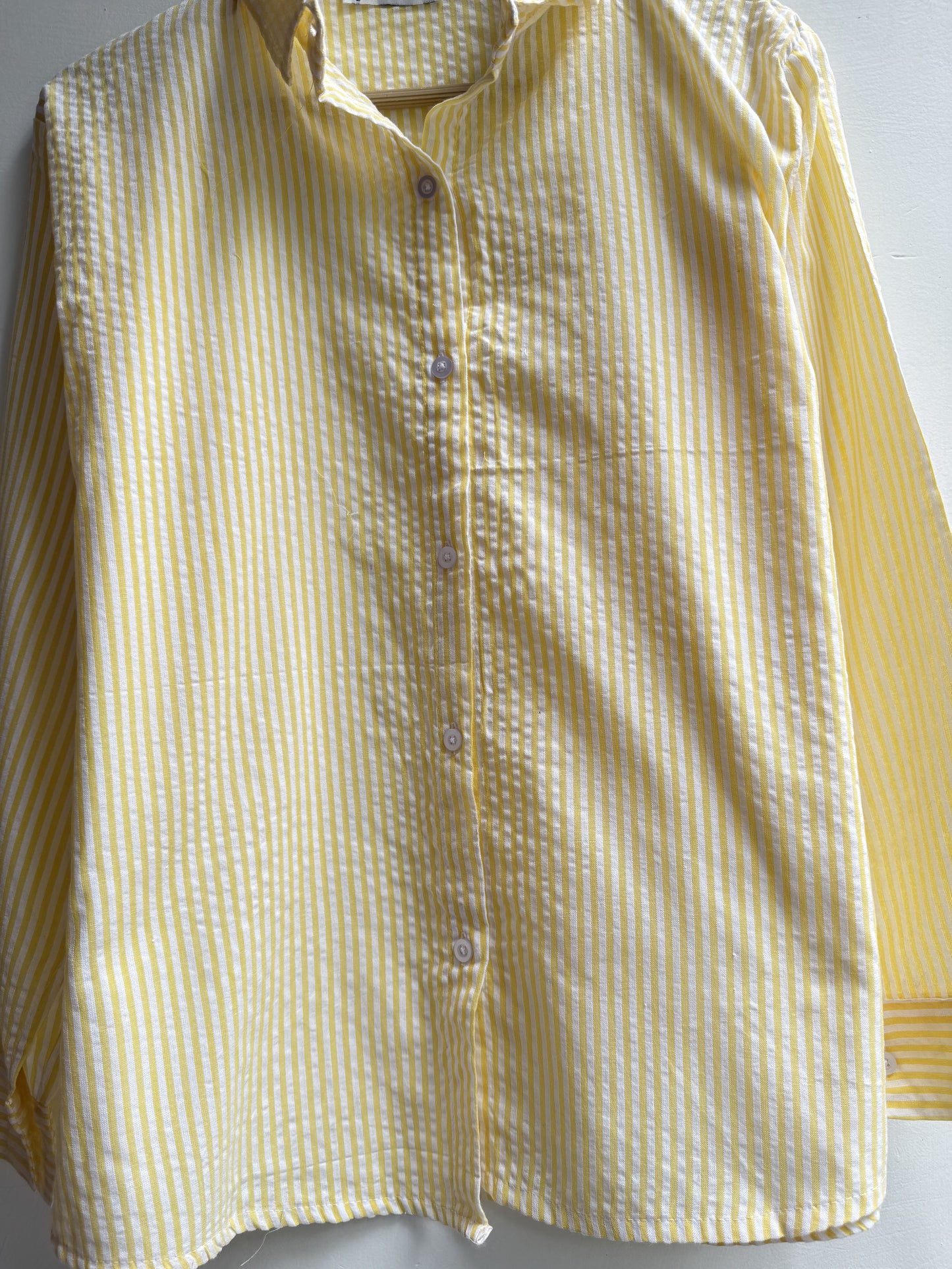Striped Shirt